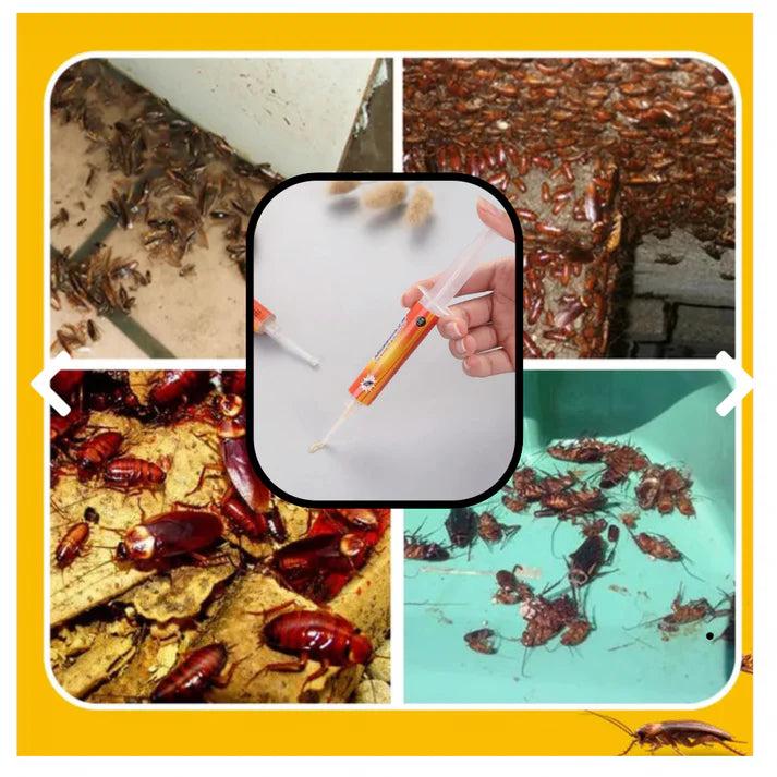 VENENO MATA CUCARACHAS + ¡OBSEQUIO ESPECIAL! 🎁